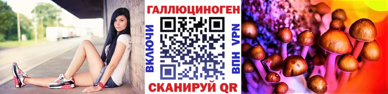 купить Духовщина Галлюциногенные грибы GOLDEN TEACHER